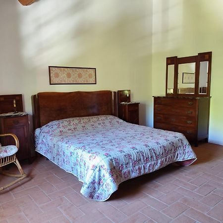 Agriturismo La Gatta E L'Olivo - Casa Daria דונוראטיקו מראה חיצוני תמונה