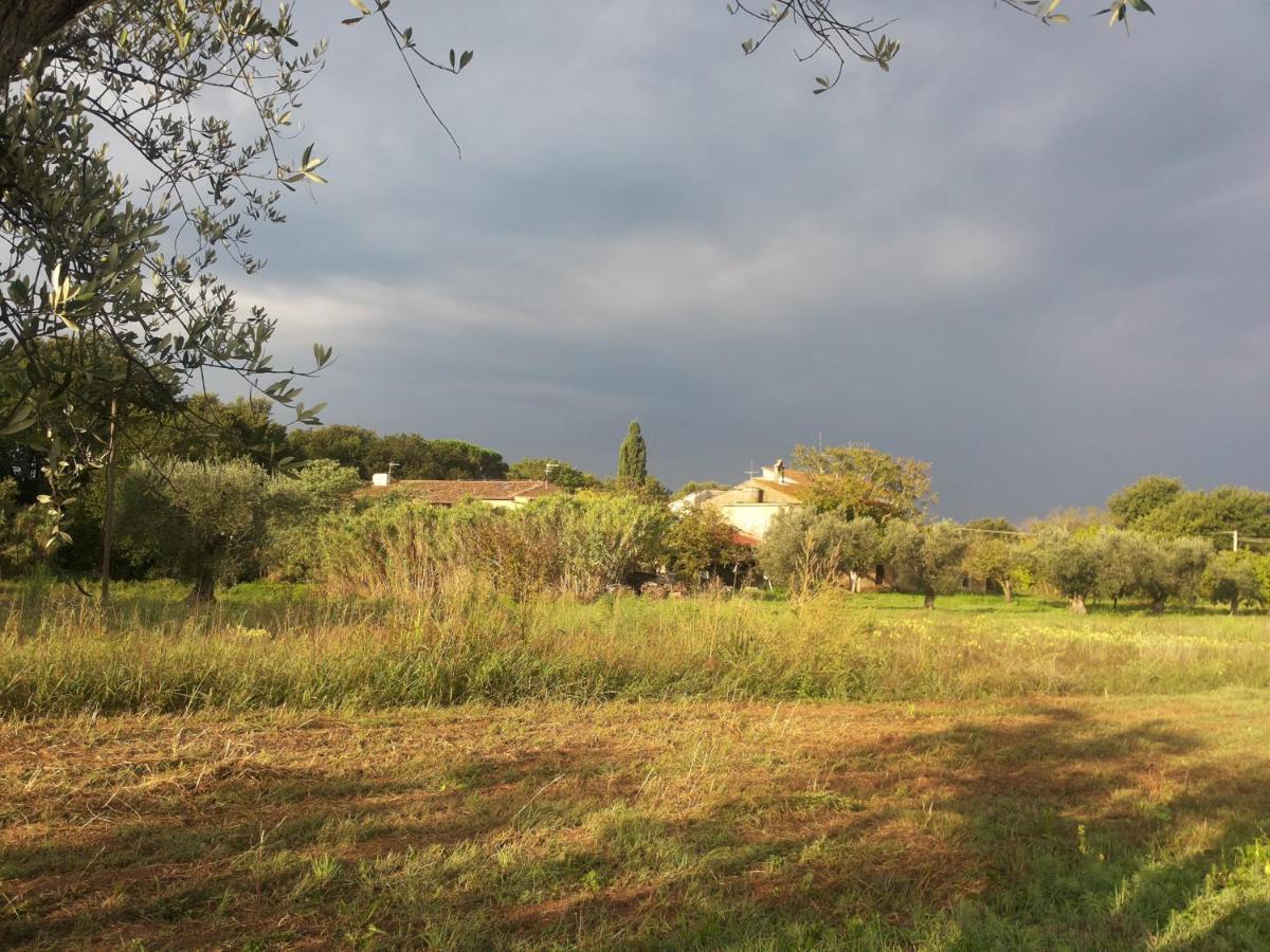 Agriturismo La Gatta E L'Olivo - Casa Daria דונוראטיקו מראה חיצוני תמונה